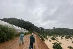 Khu vực du khách bị nước cuốn trôi, mất tích. (Ảnh: TTXVN phát)