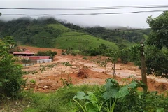 Khối lượng bùn đất rất lớn đã đổ xuống thôn Cợp (xã Hướng Phùng, huyện Hướng Hóa, tỉnh Quảng Trị) sau vụ sạt lở kinh hoàng. (Ảnh: Quốc Dũng/TTXVN)