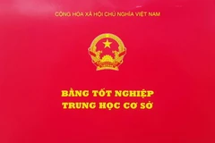 Ảnh minh họa.