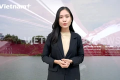 [Video] Lái xe gây tai nạn, xử phạt cả trung tâm đào tạo?