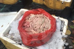 Lực lượng chức năng kiểm tra tang vật của vụ việc. (Ảnh: Tuấn Anh/TTXVN)