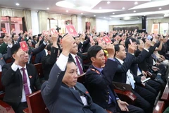 Đại biểu biểu quyết thông qua Nghị quyết Đại hội. (Ảnh: Huỳnh Phúc Hậu/TTXVN)