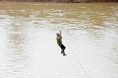 (Ảnh: Khoa Chương/TTXVN)