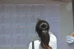 Ảnh minh họa. (Nguồn: Vietnam+)