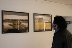 Du khách chiêm ngưỡng các tác phẩm trưng bày tại triển lãm. (Ảnh: Anh Đức/TTXVN)