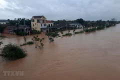 Nước sông Hiếu dâng cao, gây ngập lụt nhà dân và đường giao thông ở phường Đông Thanh, thành phố Đông Hà, tỉnh Quảng Trị. (Ảnh: Hồ Cầu/TTXVN)