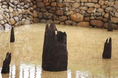 Các cọc có nhiều kích thước, loại nhỏ từ 10-18cm, loại lớn từ 28-32cm, có cọc đường kính từ 37-40cm; chủ yếu làm bằng gỗ sến nhựa và lim. (Ảnh: Thống Nhất/TTXVN)