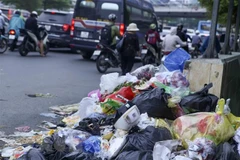 Ảnh minh họa. (Nguồn: TTXVN)