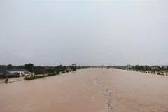 Nhiều khu vực tại tỉnh Quảng Trị bị ngập sâu trong nước. (Ảnh: Thanh Thủy/TTXVN)