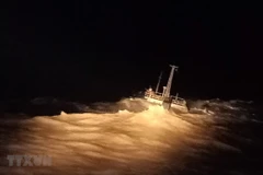 Tàu Đại Hải Phát 17 vào tối 20/1/2019. (Ảnh: Huỳnh Ngọc Sơn/TTXVN)