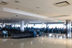 Các công dân Việt Nam làm thủ tục tại sân bay. (Ảnh: TTXVN phát)