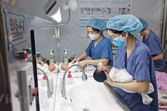 Ảnh minh họa. (Nguồn: Vietnam+)