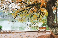 Các tỉnh miền Bắc ngày nắng hanh, đêm và sáng sớm se lạnh