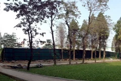 Hà Nội nghiên cứu xây bãi đỗ xe ngầm kết hợp trồng cây xanh 