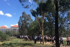 Bưu kiện khả nghi ở Bộ Ngoại giao-Thương mại Australia vô hại