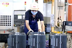 Tỉnh Đồng Nai đã thu hút được gần 1,3 tỷ USD vốn FDI