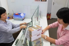 Bình Định huy động trên 50 tỷ đồng xây dựng nông thôn mới