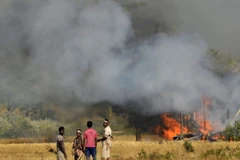 Ấn Độ đề nghị các nước láng giềng hỗ trợ chống khủng bố