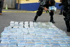 Cảnh sát Bồ Đào Nha thu giữ 90 kg cocaine tại sân bay Lisbon