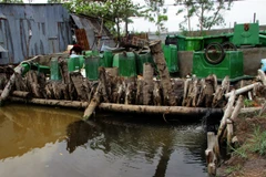 Ảnh minh họa. (Nguồn: TTXVN)