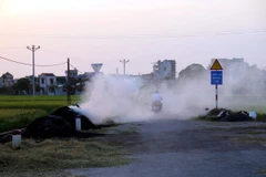 Đốt rơm rạ sau thu hoạch gây ô nhiễm môi trường tại Hải Dương. (Nguồn ảnh: TTXVN)