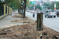 Bộ Tài nguyên và Môi trường lên tiếng về vụ “thảm sát” cây xanh 