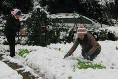 Ảnh minh họa. (Nguồn ảnh: TTXVN)