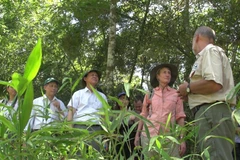 Bà Sally Jewell, Bộ trưởng Nội vụ Hoa Kỳ thăm Vườn quốc gia Cúc Phương. (Ảnh: Tùng Lâm/Vietnam+)