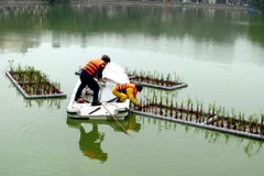 Ảnh minh họa. (Nguồn: TTXVN)