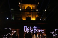 WildFest, lễ hội chiếu phim và ca nhạc ngoài trời về động vật hoang dã đầu tiên tại Việt Nam. (Ảnh: PV/Vietnam+)