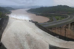 Ảnh minh họa. (Nguồn: TTXVN)