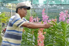 Ảnh minh họa. (Nguồn: TTXVN)