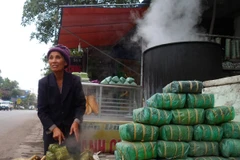 Làng bánh chưng Bờ Đậu: Nơi lưu giữ tinh hoa ẩm thực Việt 