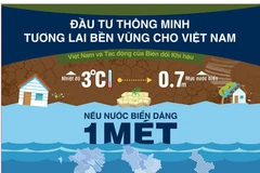 Lồng ghép đầu tư: "Chìa khóa" ứng phó biến đổi khí hậu tại Việt Nam 