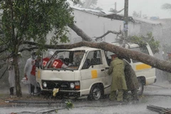 Đầu tư hơn 4,7 triệu USD cho dự án quốc gia về biến đổi khí hậu