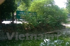 Ảnh minh họa. (Nguồn: TTXVN)