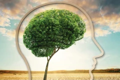 Ngày Khí tượng Thế giới: Nhận thức để giảm rủi ro biến đổi khí hậu