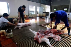 Đảm bảo các điều kiện về vệ sinh môi trường và an toàn vệ sinh thực phẩm.(Ảnh minh họa. Nguồn: TTXVN)