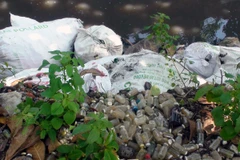 Ảnh minh họa. (Nguồn: TTXVN)