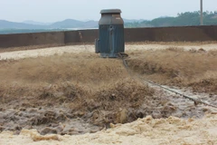 Sáu tháng đầu năm, xử phạt 205 tổ chức, cá nhân vi phạm môi trường. (Ảnh: Hùng Võ/Vietnam+)