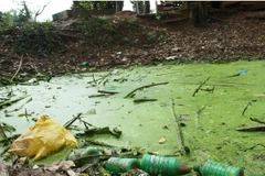 Ảnh minh họa. (Nguồn: TTXVN)