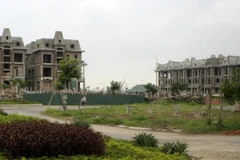 Ảnh minh họa. (Nguồn: TTXVN)