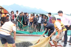 Lễ thả cá tái tạo nguồn lợi thủy sản lòng hồ thủy điện Tuyên Quang. (Ảnh: Hùng Võ/Vietnam+)