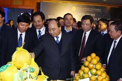 Thủ tướng Nguyễn Xuân Phúc thăm các gian trưng bày sản phẩm của tỉnh Hòa Bình tại hội nghị. (Ảnh: Thống Nhất/TTXVN)