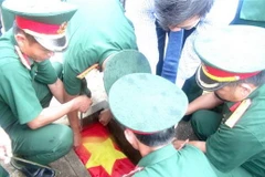 Ảnh chỉ có tính minh họa. (Ảnh: Thanh Thủy/TTXVN)
