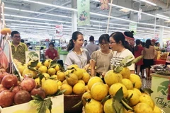 Nhiều đặc sản của các tỉnh, thành phía Bắc được quảng bá, giới thiệu vào thị trường Thành phố Hồ Chí Minh. (Ảnh: Mỹ Phương/TTXVN)