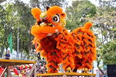 Ảnh chỉ có tính minh họa. (Ảnh: Thanh Sang/TTXVN)