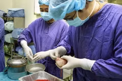 Ảnh chỉ có tính minh họa. (Ảnh: Dương Ngọc/TTXVN)