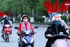 Ảnh chỉ có tính minh họa. (Ảnh: Danh Lam/TTXVN)