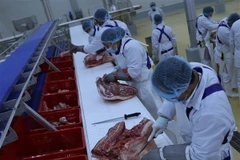 Dây chuyền sản xuất theo công nghệ thịt mát. (Ảnh: Vũ Sinh/TTXVN)